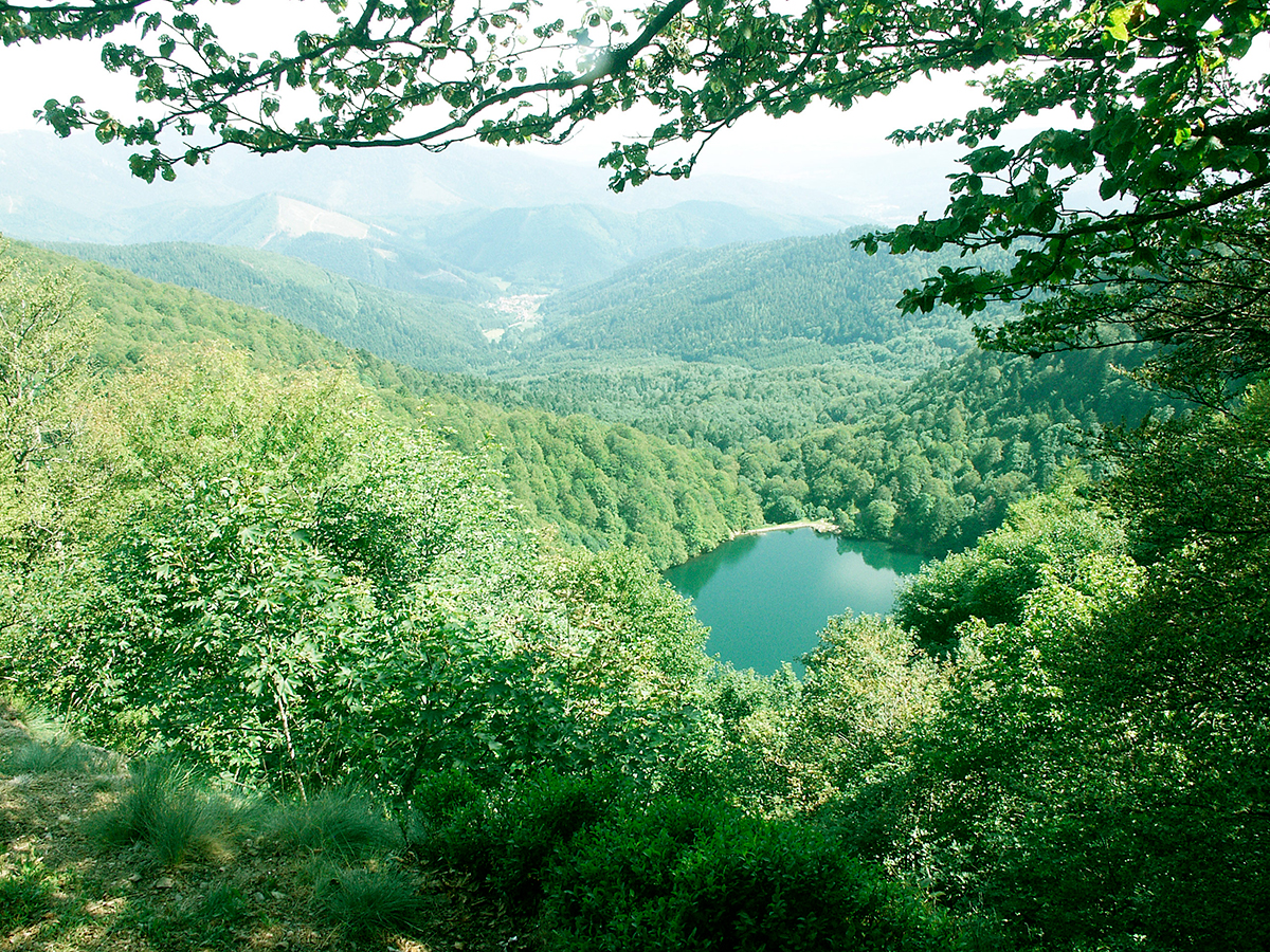 Vosges 7 Points De Vue à Couper Le Souffle France