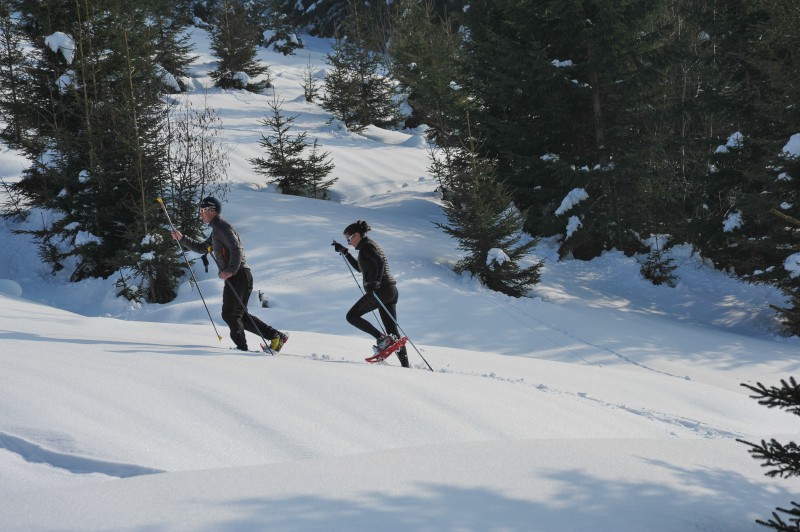 CHATEL - France Montagnes - Official Website of the French Ski Resorts