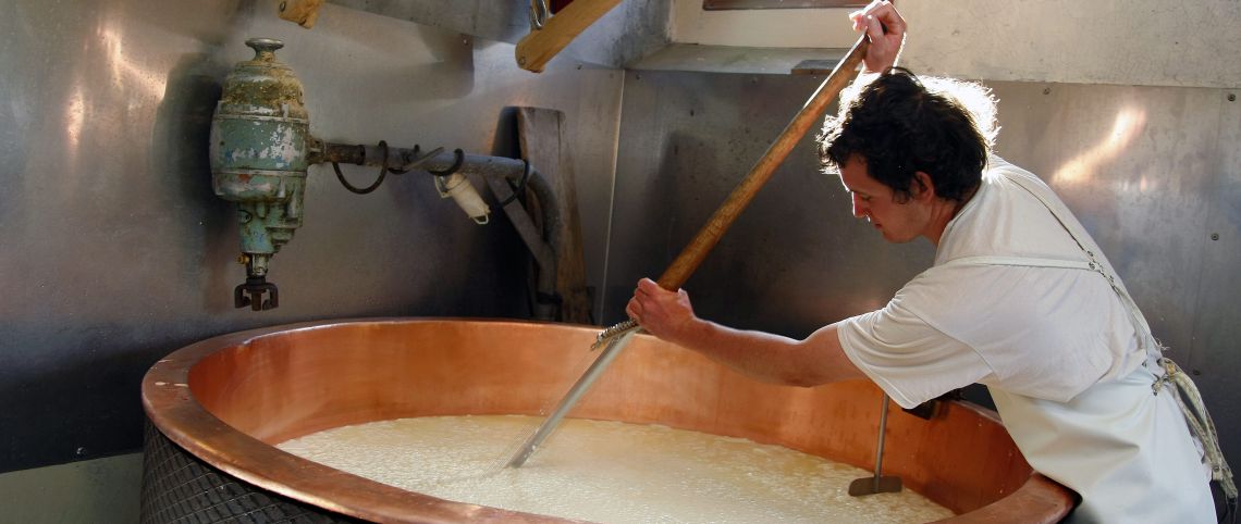 The “terroir” in summer: cheese-making