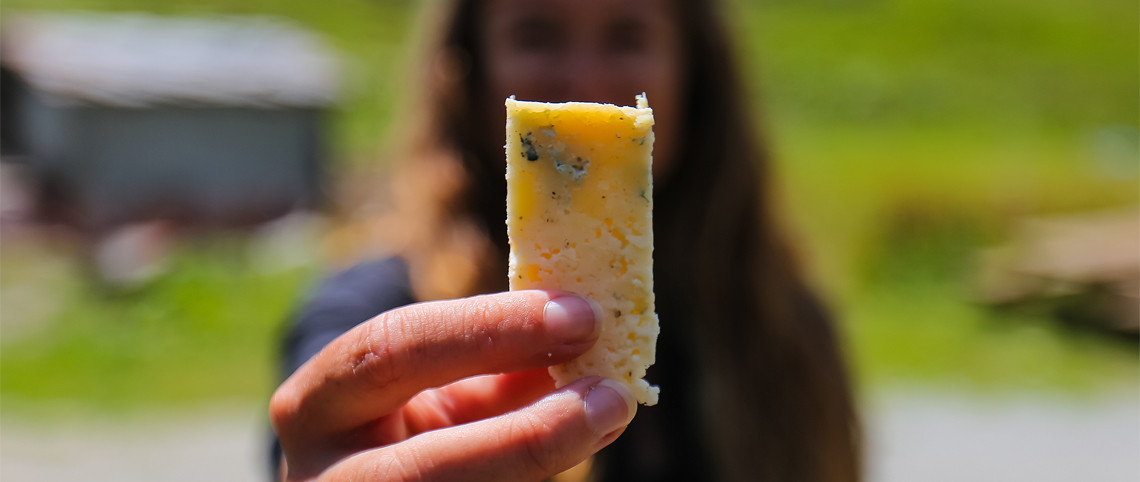 15 fromages AOP/AOC de montagne