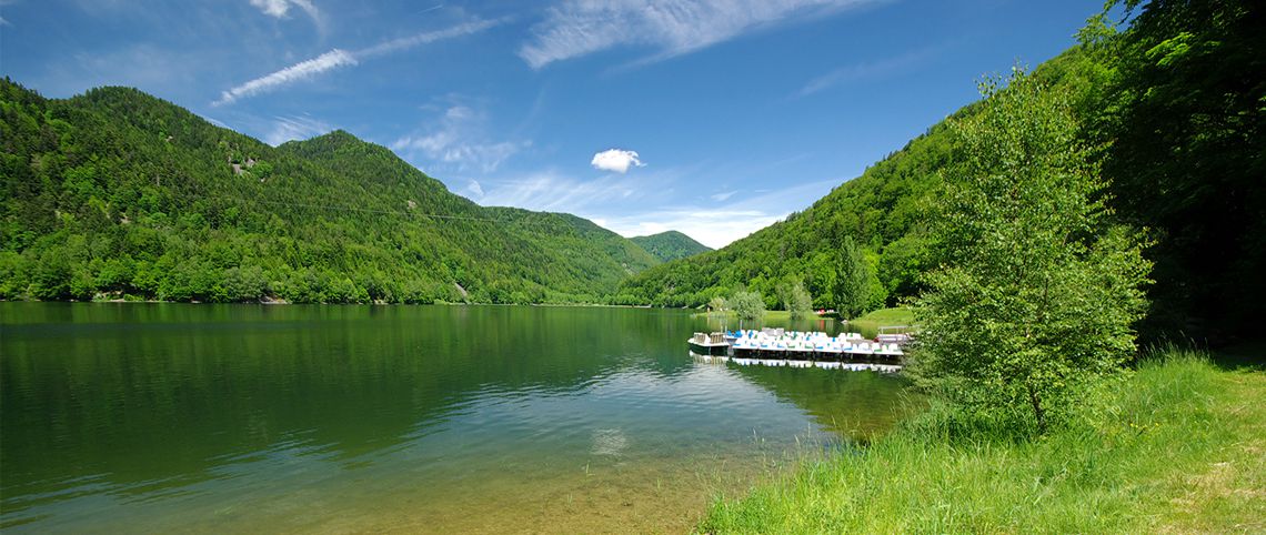 paysage des vosges