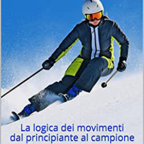 Moniteur indépendant - Ski System