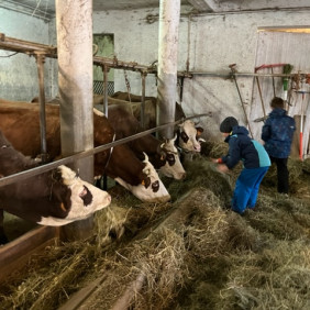 Rando à la ferme avec traite des vaches et dégustation de produis locaux