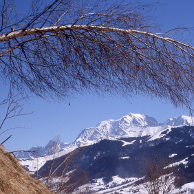 Sortie raquettes "Panorama sur la chaîne du Mont Blanc"