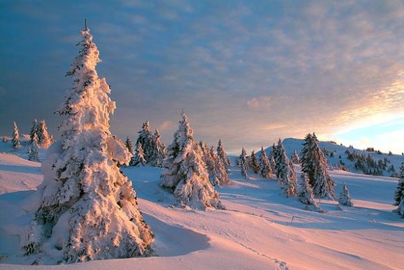 Monts Jura France Montagnes Official Website Of The French Ski Resorts